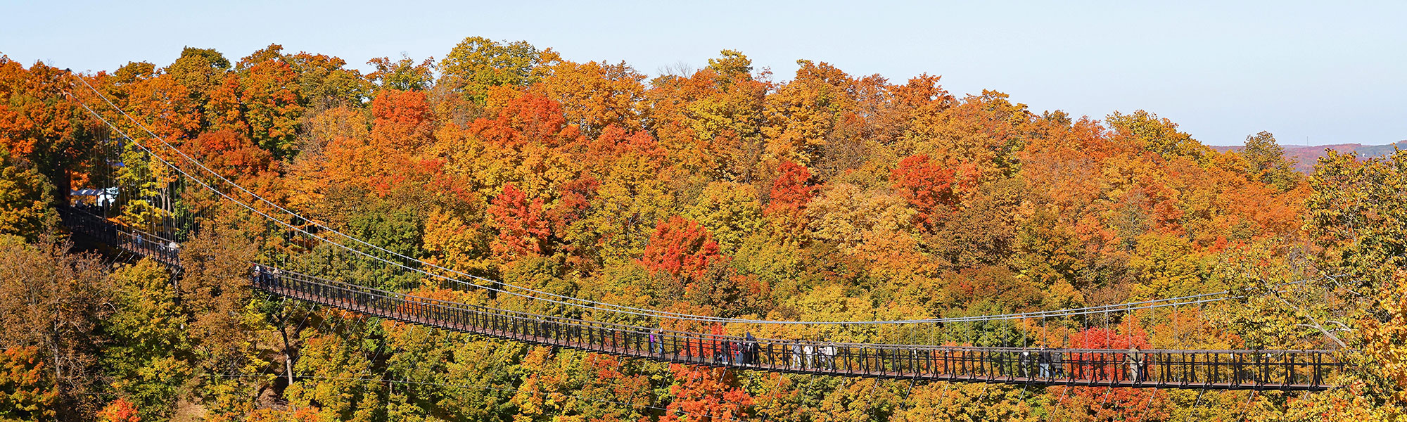 2025 Midwest Fall Colors